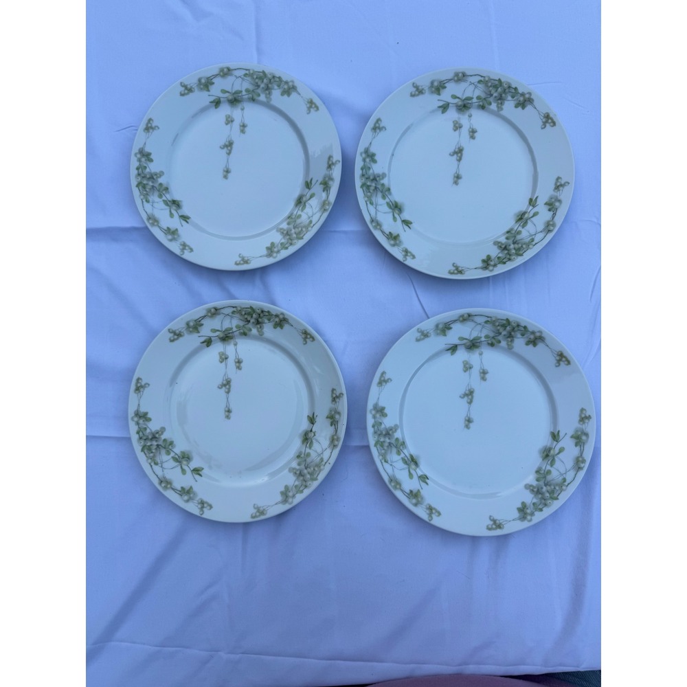 Bavaria Germany Porcelain Salad Plates Set of 4 White Berry Botanical 7.75 Inch